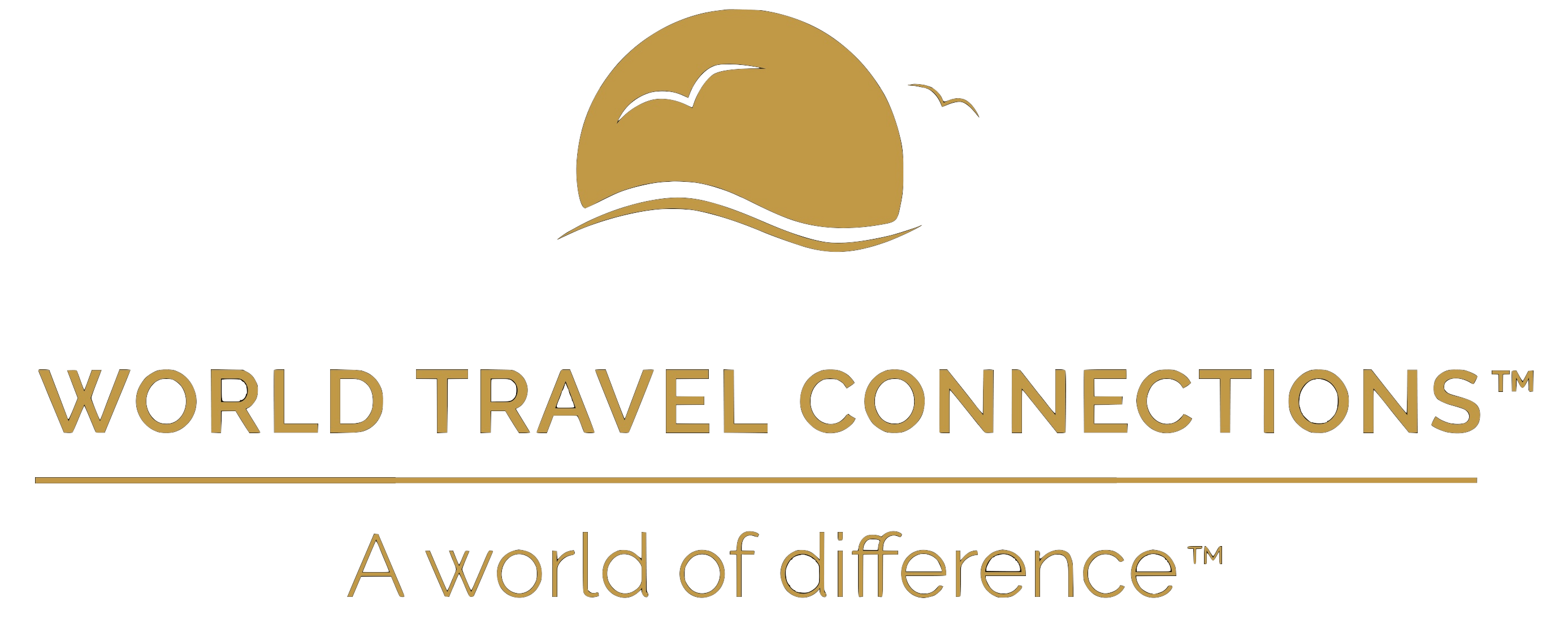international travel connections ltd